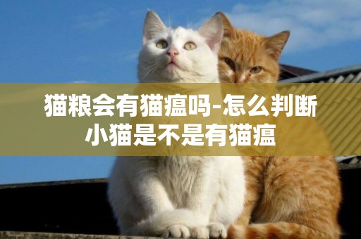 貓糧會有貓瘟嗎-怎么判斷小貓是不是有貓瘟