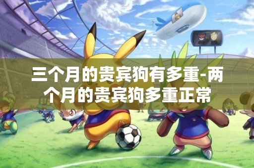 三個月的貴賓狗有多重-兩個月的貴賓狗多重正常