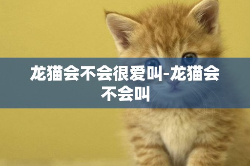 龍貓會不會很愛叫-龍貓會不會叫