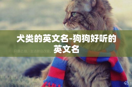犬類的英文名-狗狗好聽的英文名