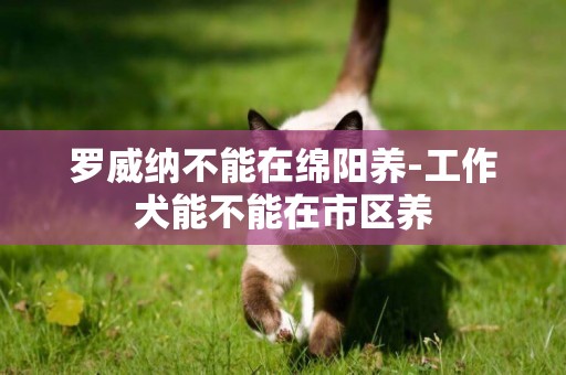 羅威納不能在綿陽養-工作犬能不能在市區養