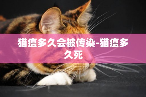 貓瘟多久會被傳染-貓瘟多久死