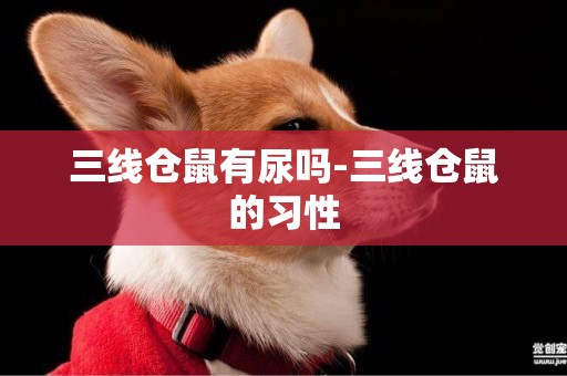 三線倉鼠有尿嗎-三線倉鼠的習性