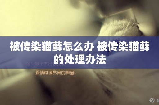 被傳染貓蘚怎么辦 被傳染貓蘚的處理辦法