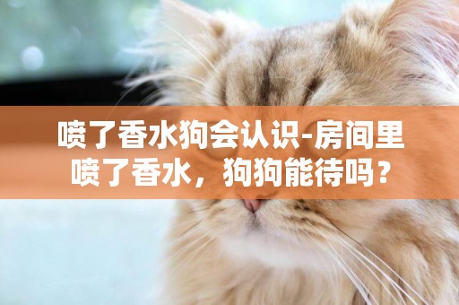 噴了香水狗會認識-房間里噴了香水，狗狗能待嗎？