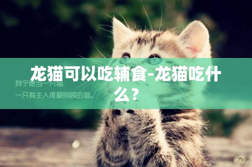 龍貓可以吃輔食-龍貓吃什么？