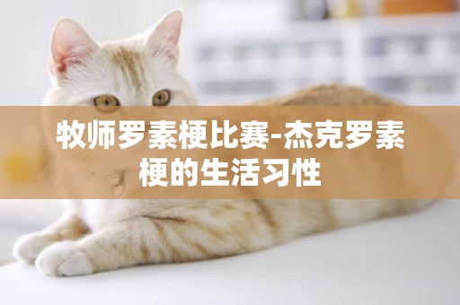 牧師羅素梗比賽-杰克羅素梗的生活習性