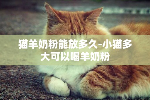 貓羊奶粉能放多久-小貓多大可以喝羊奶粉