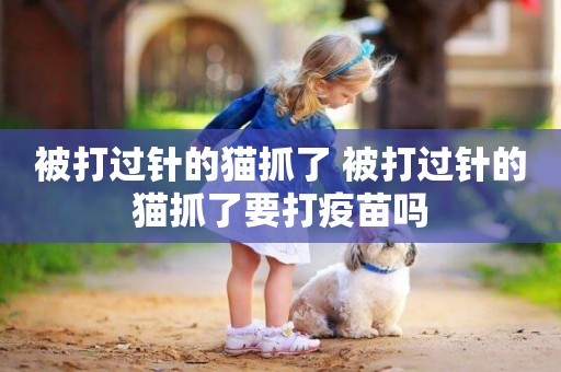被打過針的貓抓了 被打過針的貓抓了要打疫苗嗎