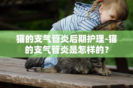 貓的支氣管炎后期護理-貓的支氣管炎是怎樣的？