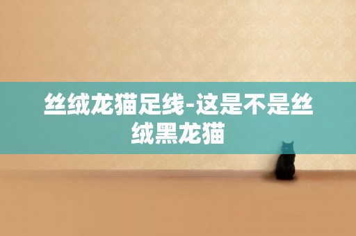 絲絨龍貓足線-這是不是絲絨黑龍貓