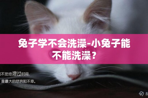 兔子學不會洗澡-小兔子能不能洗澡？