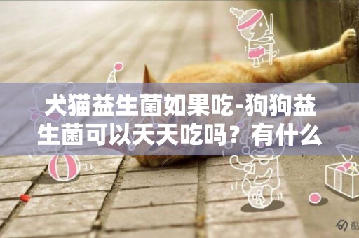犬貓益生菌如果吃-狗狗益生菌可以天天吃嗎？有什么作用？