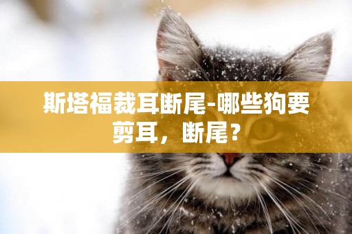 斯塔福裁耳斷尾-哪些狗要剪耳，斷尾？