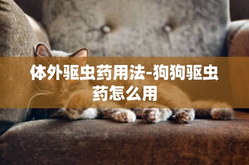 體外驅蟲藥用法-狗狗驅蟲藥怎么用