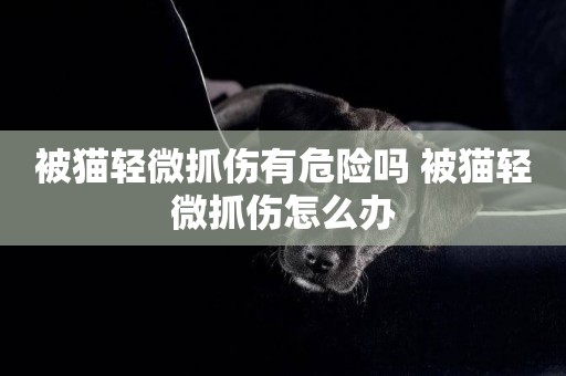 被貓輕微抓傷有危險嗎 被貓輕微抓傷怎么辦