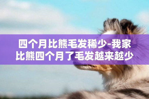 四個月比熊毛發稀少-我家比熊四個月了毛發越來越少了