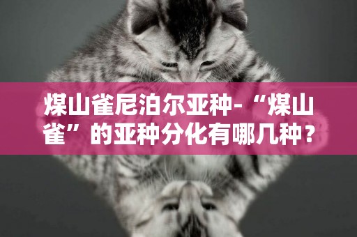 煤山雀尼泊爾亞種-“煤山雀”的亞種分化有哪幾種？
