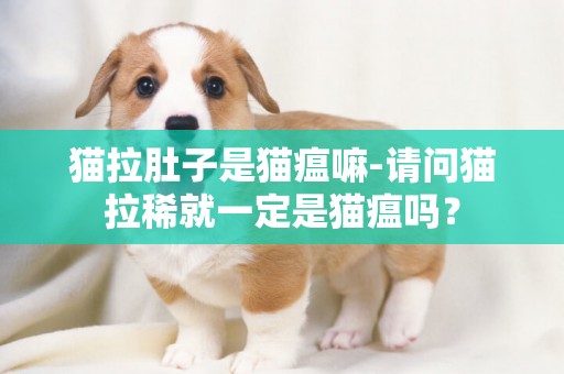 貓拉肚子是貓瘟嘛-請問貓拉稀就一定是貓瘟嗎？