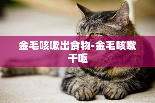 金毛咳嗽出食物-金毛咳嗽干嘔