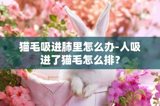 貓毛吸進肺里怎么辦-人吸進了貓毛怎么排？