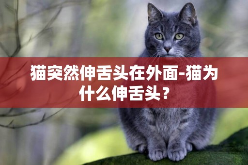 貓突然伸舌頭在外面-貓為什么伸舌頭？
