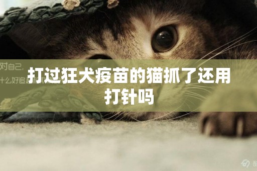 打過狂犬疫苗的貓抓了還用打針嗎