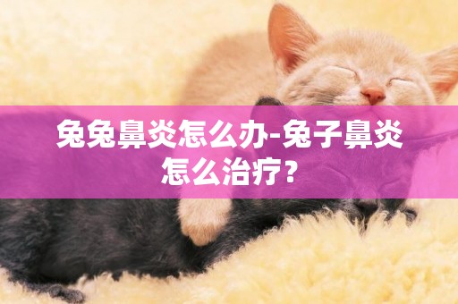 兔兔鼻炎怎么辦-兔子鼻炎怎么治療？