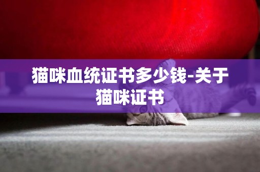 貓咪血統證書多少錢-關于貓咪證書