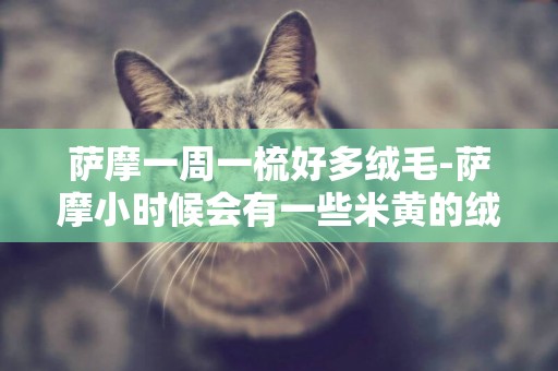 薩摩一周一梳好多絨毛-薩摩小時候會有一些米黃的絨毛嗎