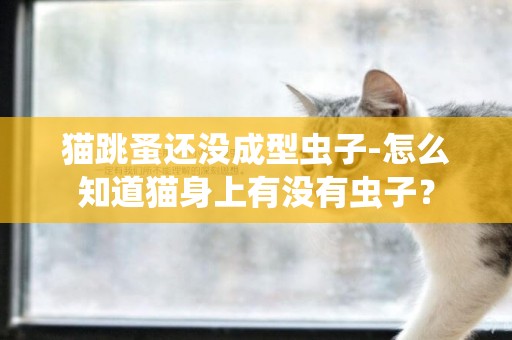 貓跳蚤還沒成型蟲子-怎么知道貓身上有沒有蟲子？