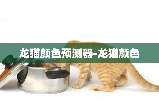 龍貓顏色預測器-龍貓顏色