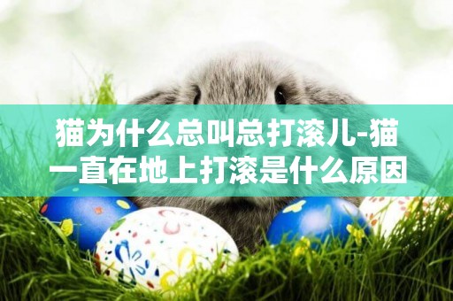 貓為什么總叫總打滾兒-貓一直在地上打滾是什么原因？