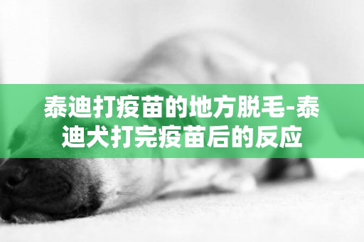 泰迪打疫苗的地方脫毛-泰迪犬打完疫苗后的反應