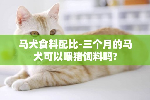 馬犬食料配比-三個月的馬犬可以喂豬飼料嗎?