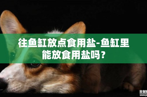 往魚缸放點食用鹽-魚缸里能放食用鹽嗎？