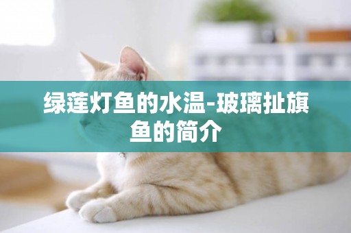 綠蓮燈魚的水溫-玻璃扯旗魚的簡介