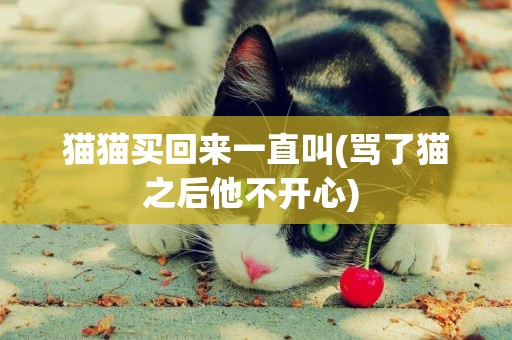 貓貓買回來一直叫(罵了貓之后他不開心) 