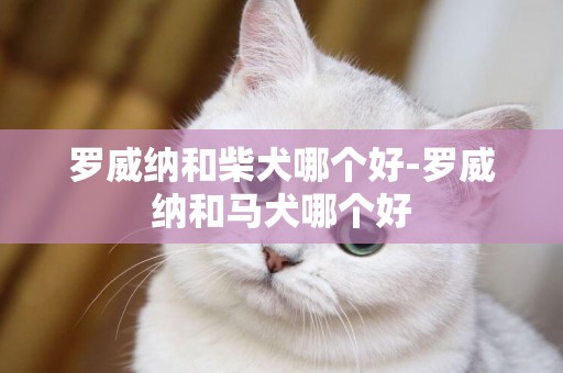 羅威納和柴犬哪個好-羅威納和馬犬哪個好