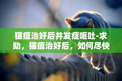 貓瘟治好后并發癥嘔吐-求助，貓瘟治好后，如何盡快恢復