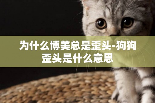 為什么博美總是歪頭-狗狗歪頭是什么意思