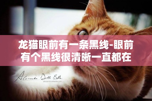 龍貓眼前有一條黑線-眼前有個黑線很清晰一直都在