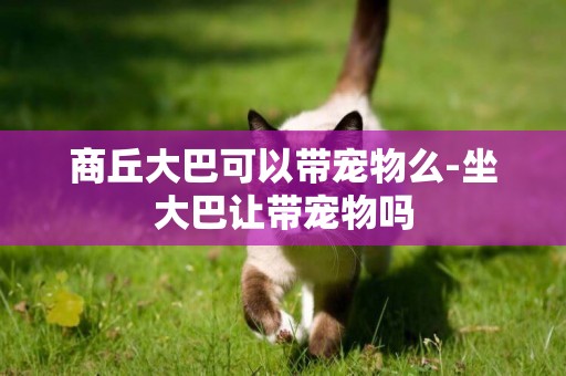 商丘大巴可以帶寵物么-坐大巴讓帶寵物嗎