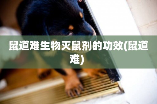 鼠道難生物滅鼠劑的功效(鼠道難) 