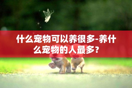 什么寵物可以養很多-養什么寵物的人最多？