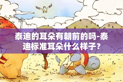 泰迪的耳朵有朝前的嗎-泰迪標準耳朵什么樣子？