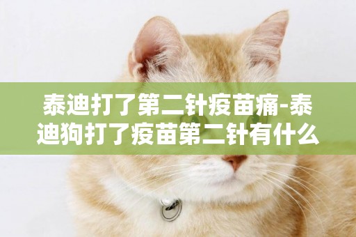 泰迪打了第二針疫苗痛-泰迪狗打了疫苗第二針有什么反應