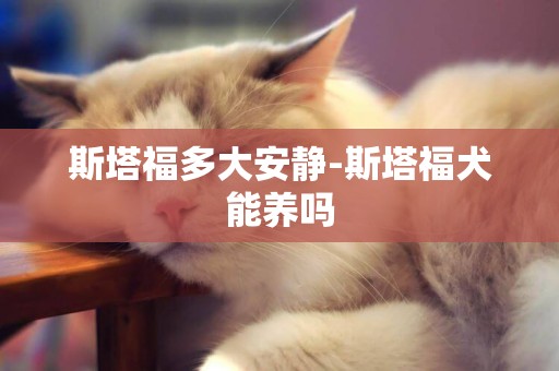 斯塔福多大安靜-斯塔福犬能養嗎
