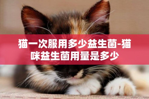 貓一次服用多少益生菌-貓咪益生菌用量是多少