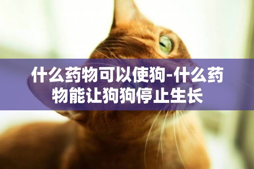 什么藥物可以使狗-什么藥物能讓狗狗停止生長